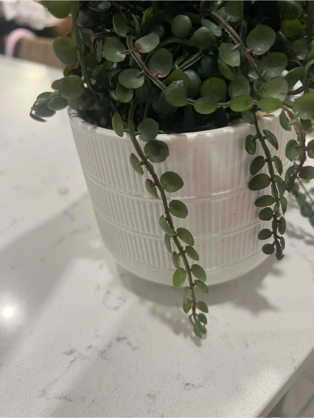 Faux Green Trailing Potted Plant